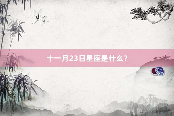 十一月23日星座是什么？