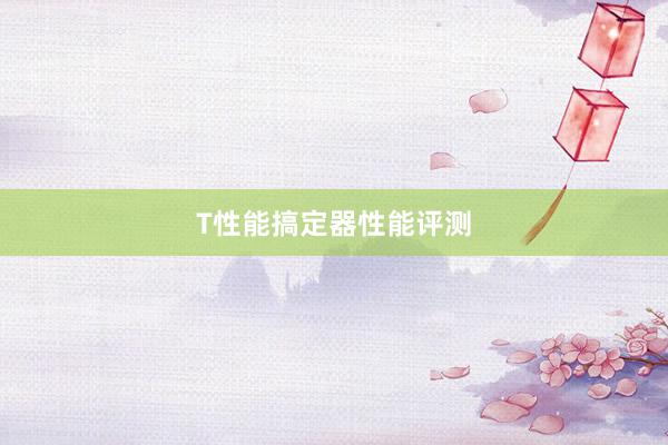 T性能搞定器性能评测