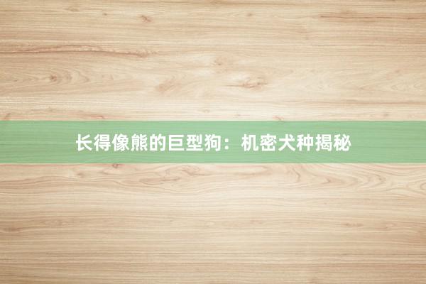 长得像熊的巨型狗：机密犬种揭秘