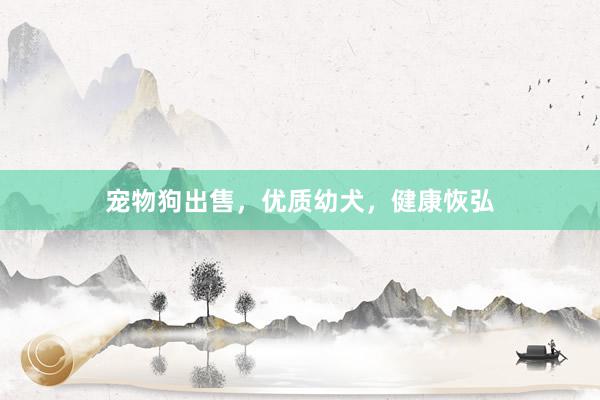 宠物狗出售，优质幼犬，健康恢弘