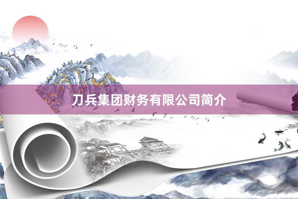 刀兵集团财务有限公司简介